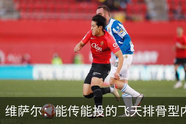 维萨尔：能传能投的飞天排骨型内线 需要大个子的球队不容错过