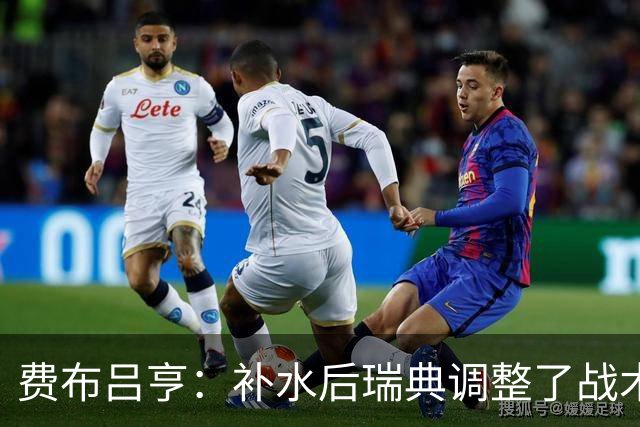 费布吕亨：补水后瑞典调整了战术，费布吕亨做出几次关键扑救
